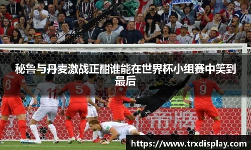 秘鲁与丹麦激战正酣谁能在世界杯小组赛中笑到最后